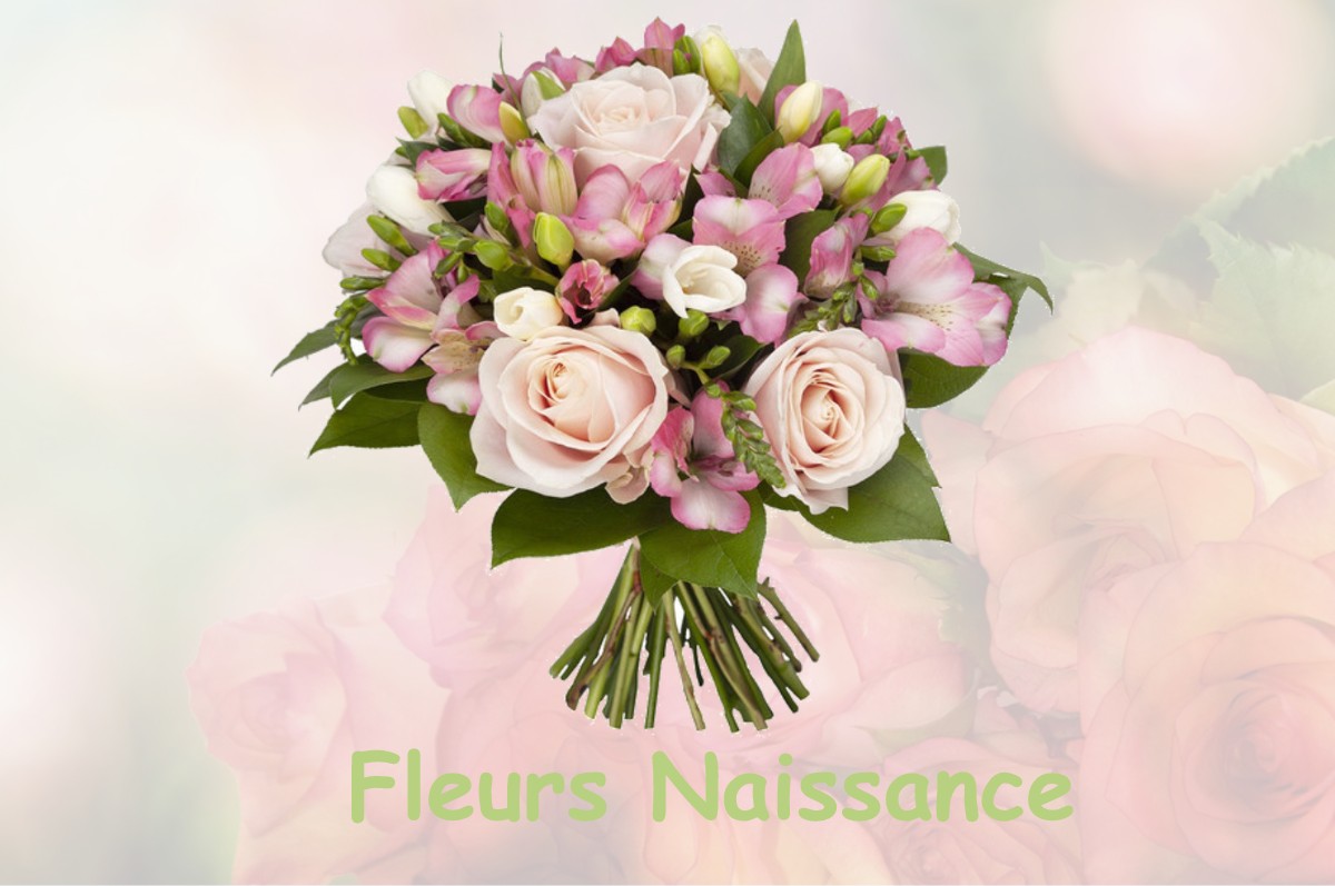 fleurs naissance LAGARDELLE-SUR-LEZE