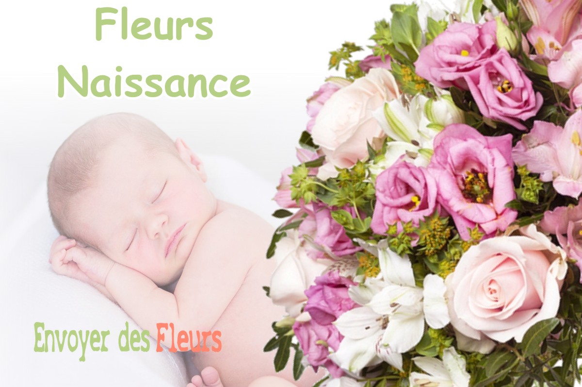 lIVRAISON FLEURS NAISSANCE à LAGARDELLE-SUR-LEZE